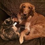 Profile Picture of Gary Mowen (@gracie_ginger_gemma) on Instagram