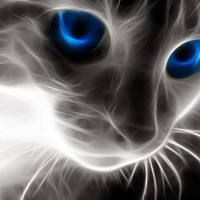 Profile Picture of Jeramie Wright (@jeramie-wright-2) on Quora