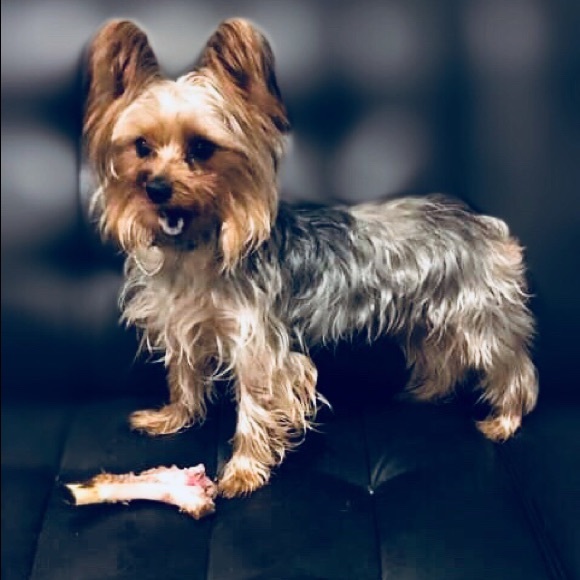 Profile Picture of Raquel Cuevas (@aquel_28) on Poshmark