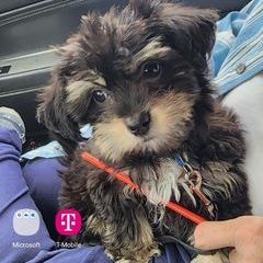 Profile Picture of SaundraKày Stevens (@saundraky.stevens) on Tiktok