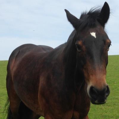 Profile Picture of Emma Kate Pugh (@emmapugh81) on Twitter