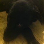 Profile Picture of tony raitano (@tonyraitano14) on Instagram