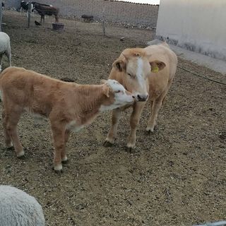 Profile Picture of Ray Cerna (@ray.cerna.50) on Facebook