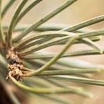 Profile Picture of Paul Gabel (@plgabel) on Instagram