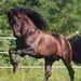 Profile Picture of Mª José Lezcano (@majoselez) on Pinterest