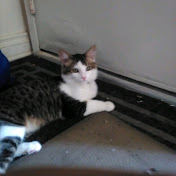 Profile Picture of Sofia Barrera (@user-oe7ni6wh9d) on Youtube