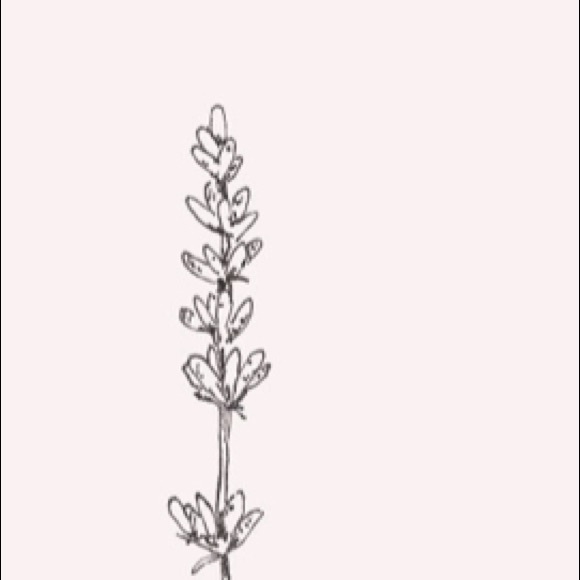 Profile Picture of Annabelle Hayes (@ahayes5480) on Poshmark