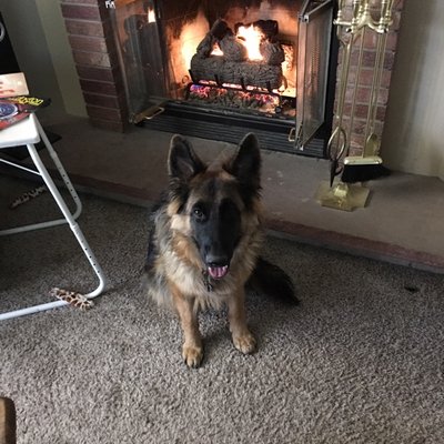 Profile Picture of Peter Comiskey (@Compj2551) on Twitter
