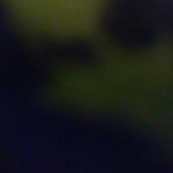 Profile Picture of Hailey Quinn (@haileyquinn1060) on Poshmark