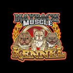 Profile Picture of Joseph Patron Achon (@maybach_muscle_kennel) on Instagram