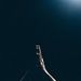 Profile Picture of Adam Mickelsen (@adammickelsen) on Pinterest