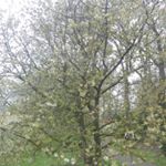 Profile Picture of Martina Von Döllen (@martina_v.doellen_) on Instagram