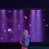 Profile Picture of Ebony Tyler (@@ebonytyler.1) on Tiktok