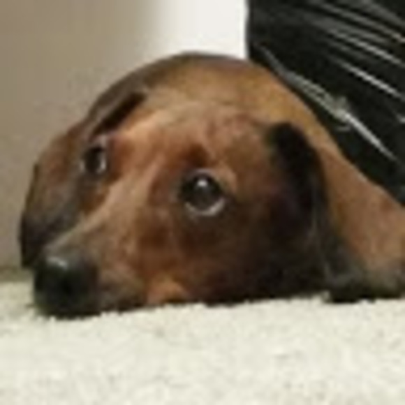 Profile Picture of Sarah Gordineer (@sarahroush405) on Poshmark