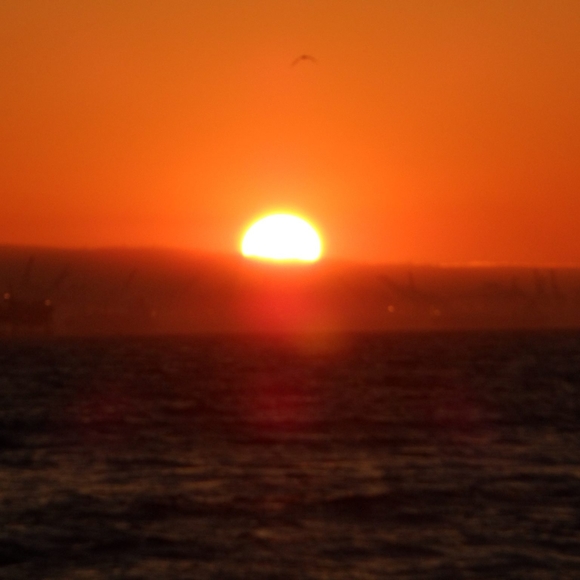 Profile Picture of Fatima Zanotto (@f_zanotto) on Poshmark