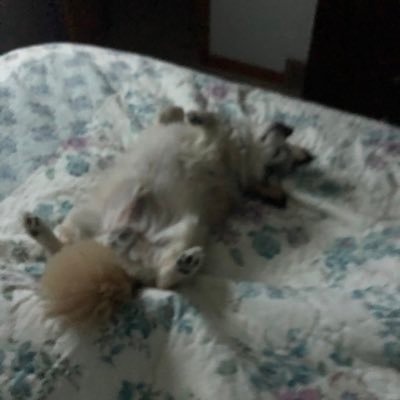 Profile Picture of David Bobbitt (@DavidBobbitt15) on Twitter