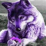 Profile Picture of Tammy McFarland (@tammy.mcfarland.39982) on Instagram