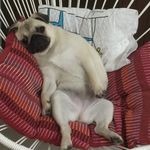 Profile Picture of Tina Bic (@tina.bicer) on Instagram