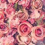 Tiffani  Allison  Llerena - Instagram Profile Picture of Tiffani  Allison  Llerena (@llere.na) on Instagram