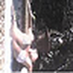 Profile Picture of Dani Rodriguez (@dani.07) on Flickr