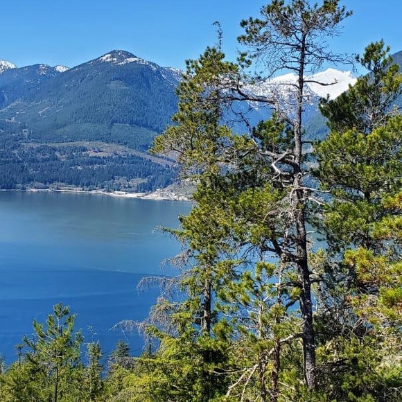 Profile Picture of Giovanna Vázquez (@giovis540) on Poshmark