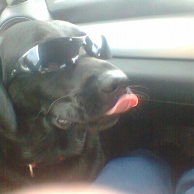 Profile Picture of Andy Sedgwick (@AndySedge67) on Twitter