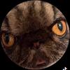 Profile Picture of Danny Blair (@@tiny_kid) on Tiktok