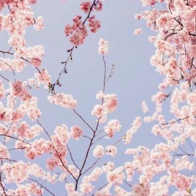 Profile Picture of Francesca Jimenez (@Frances31789850) on Twitter