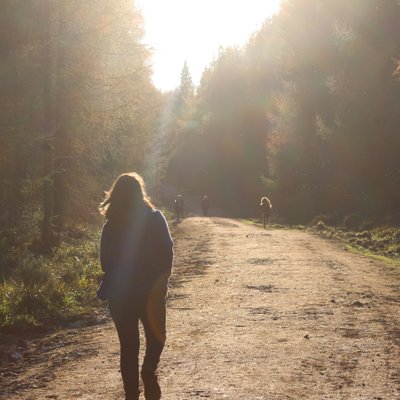 Profile Picture of Peter Stoneman (@mostmagicalcat) on Twitter