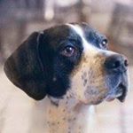 Profile Picture of Kate Weeks (@weeks.kate) on Instagram