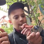 Profile Picture of Sam Pacheco (@sampachecothe3rd) on Instagram