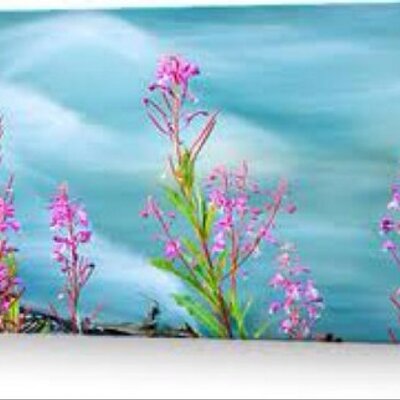 Profile Picture of Cynthia Brodowski (@CindyBrodowski) on Twitter