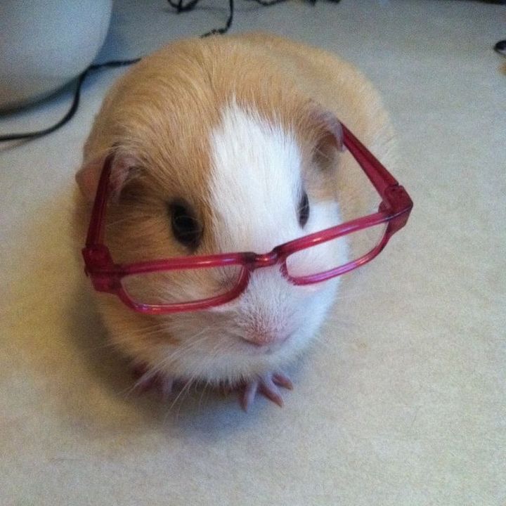 Profile Picture of michoga_ (@michoga_) on Tiktok