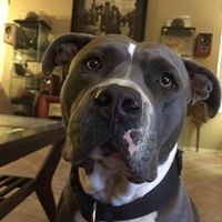 Profile Picture of Craig Comeaux (@craig-comeaux-1) on Quora