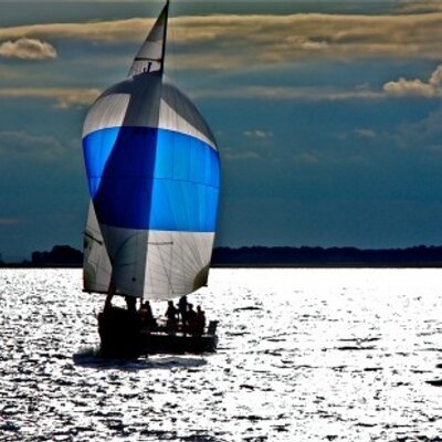 Profile Picture of Roz Koether (@Rozybear) on Twitter