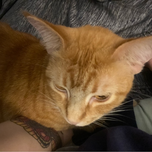 Profile Picture of Lexi Laqua (@lexilaqua20) on Poshmark