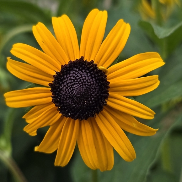 Profile Picture of J Farrell (@jul411) on Poshmark