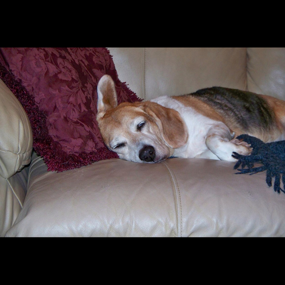 Profile Picture of Paula Jaegerman (@pjaeger7624) on Poshmark