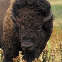 Profile Picture of Andre Jerome Rott (@andre-jerome-rott) on Quora