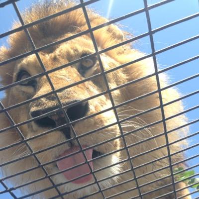 Profile Picture of Biggie Smalls (@EscolarSamuel) on Twitter