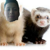 Profile Picture of Jared Contreras (@jaredcontreras4660) on Youtube