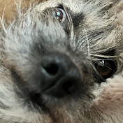 Profile Picture of JD Farmer (@jdfarmer4524) on Youtube