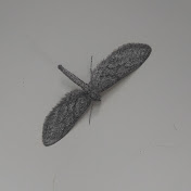 Profile Picture of Aaron Montijo (@blane73yt) on Youtube