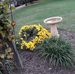 Profile Picture of Diane Higgins (@diane.higgins.7399786) on Facebook