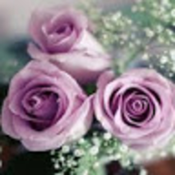 Profile Picture of Kate Everett (@nicandkate2020) on Poshmark