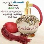Profile Picture of Ahmed Kaid (@kaid8182) on Instagram