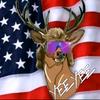 Profile Picture of Shane read (@shaneread1945) on Tiktok