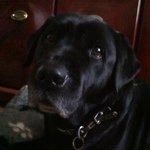 Profile Picture of Gordon Mcrae (@gordork) on Instagram
