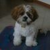 Profile Picture of Daniele Tessitore (@daniele.tessitore.3) on Facebook
