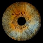 Profile Picture of Alice Kinsella Montes (@alicekinsellamontes) on Instagram